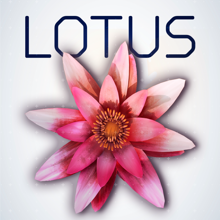 A stylized pink and white lotus flower centered on a light gray background, with the word 'LOTUS' in dark navy lettering above it.