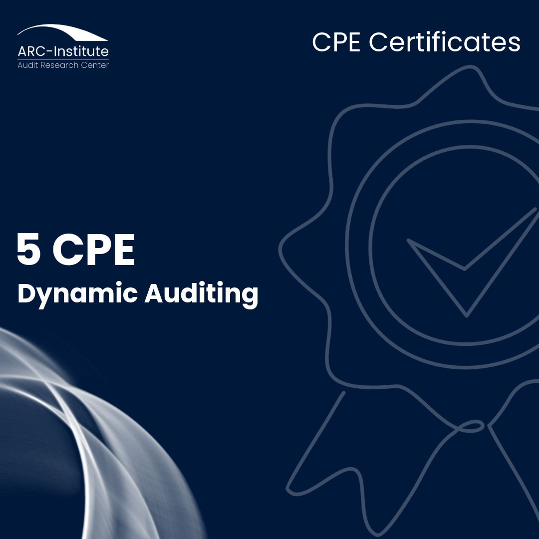 Dynamic Auditing in an Agile and Resilient Management Approach