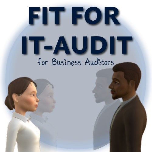 Illustration of two people with text 'Fit for IT-Audit for Business Auditors' on a light background