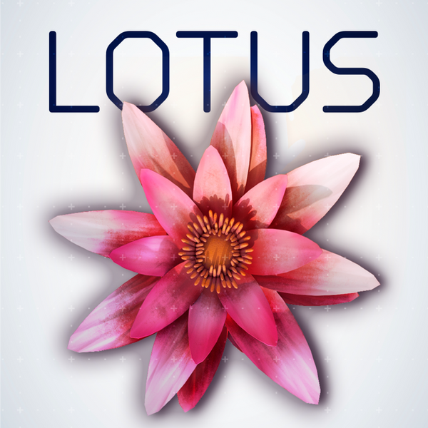 A stylized pink and white lotus flower centered on a light gray background, with the word 'LOTUS' in dark navy lettering above it.